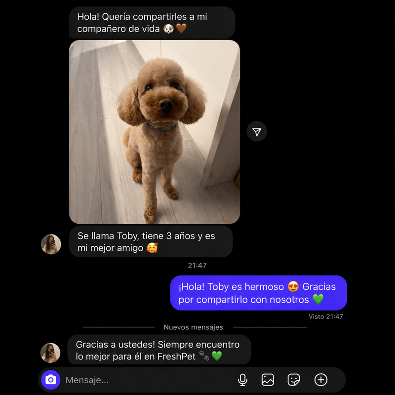 Review 8