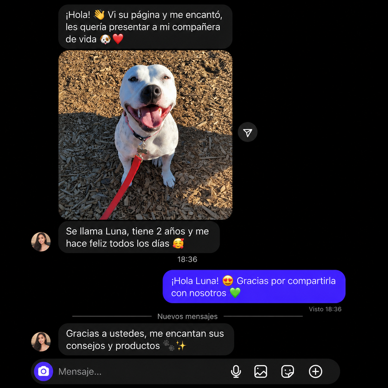 Review 7